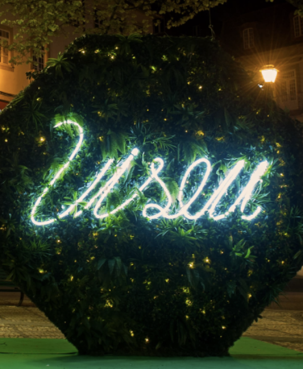 slideshow iluminação festiva